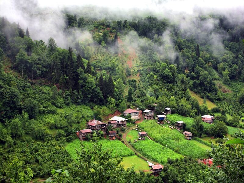 village in misty mountains