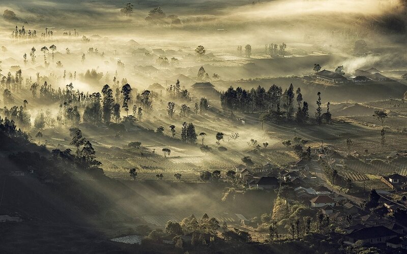 Village in Misty Valley — Brown
