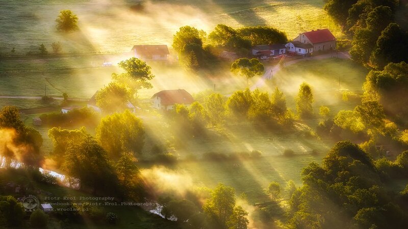 Village in Morning Mist — Green