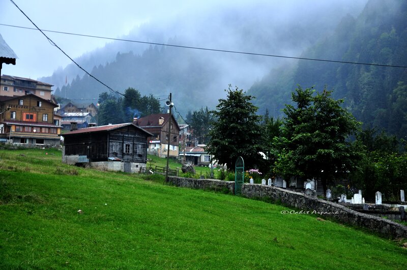 Village in Mountain Valley — Green, Misty, Morning, Photograph, Houses