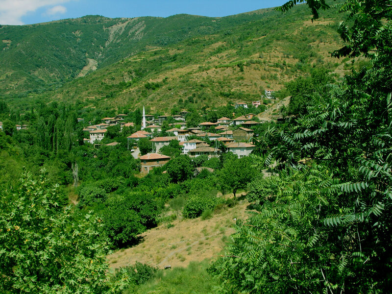 Village in Mountain Valley — Green, Serene, Afternoon, Photograph, Mountains, Trees, Mosque