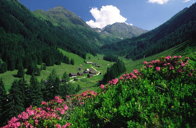 Village in Mountain Valley — Green, Serene, Summer