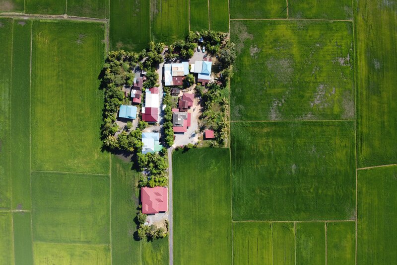 Village in Rice Fields