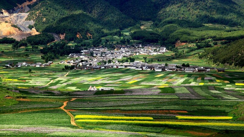 Village in Terraced Fields