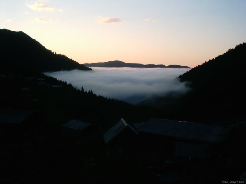 Village in the morning mist