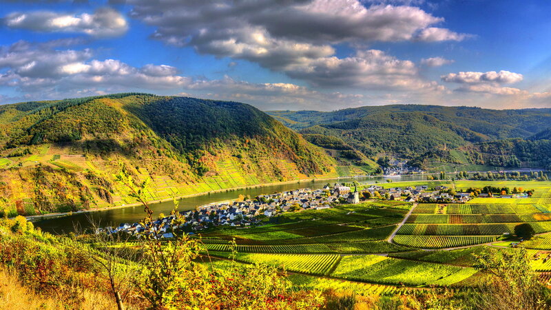 Village in Vineyard Valley — Green