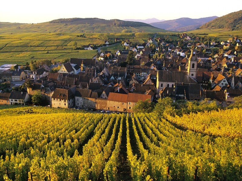 Village in Vineyard — Yellow, Serene, Sunset