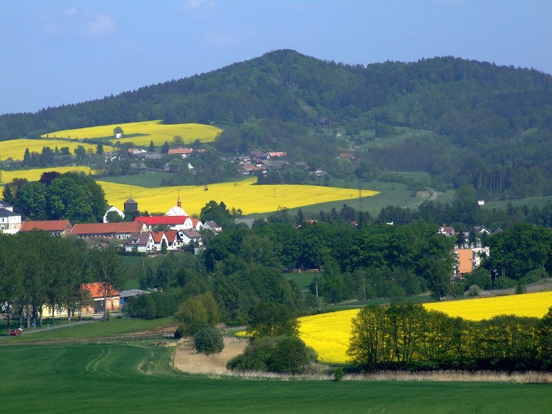 Village in Yellow Fields — Serene