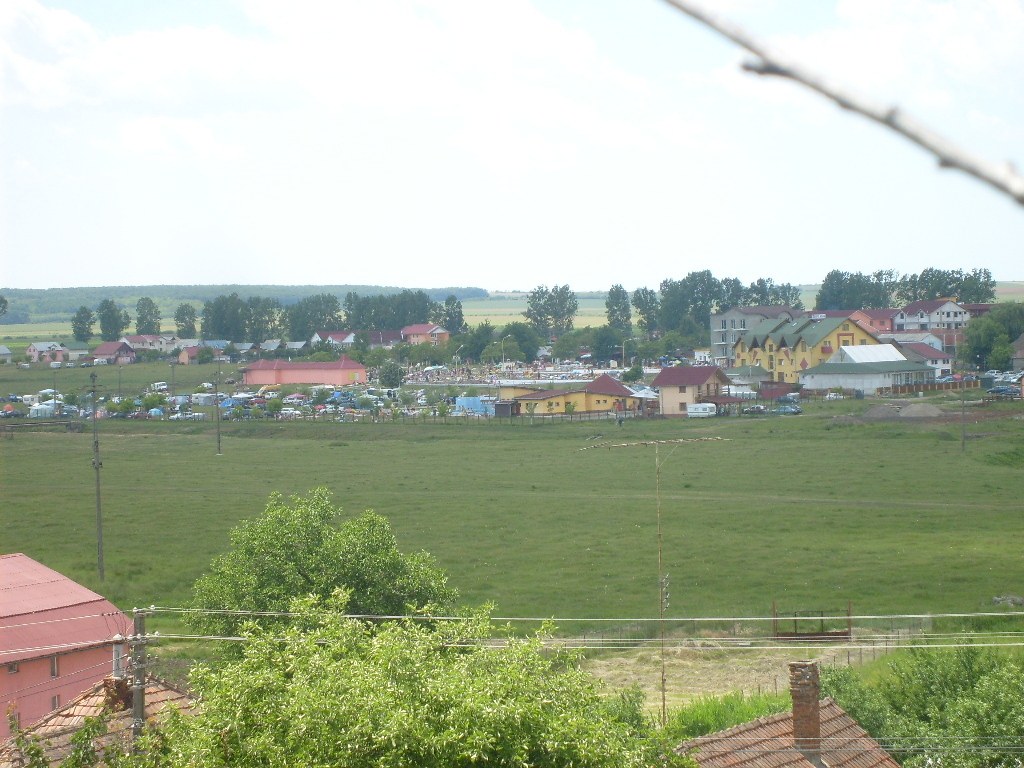 village landscape with green fields