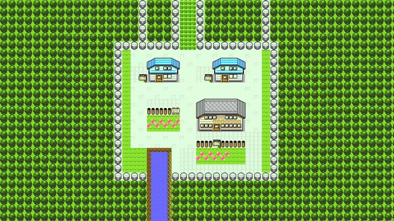 Village Map in Game