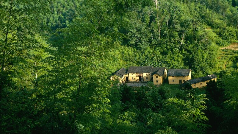 village nestled in green forest