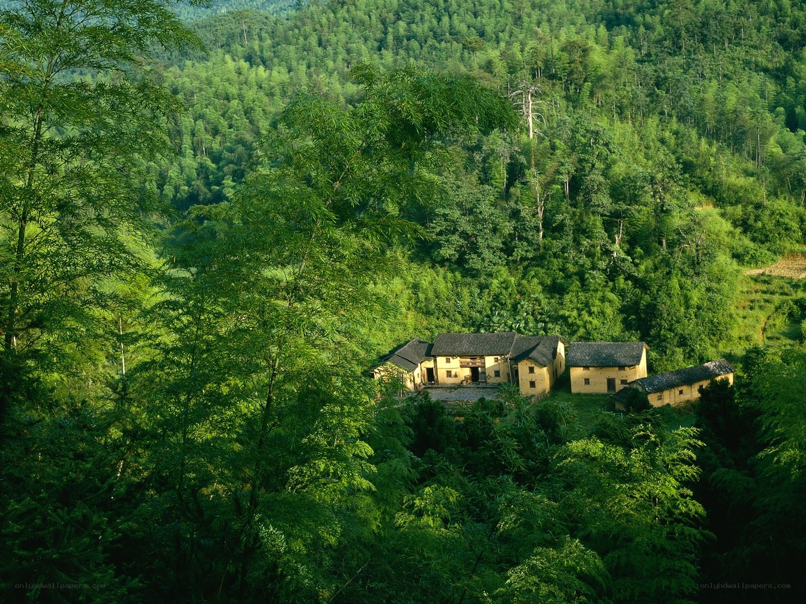 village nestled in green hills