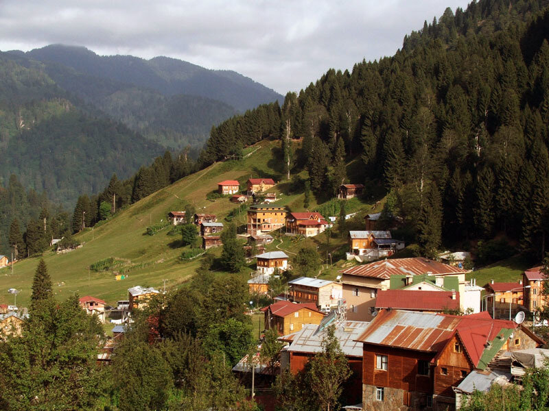 Village on a Forested Hill — Green