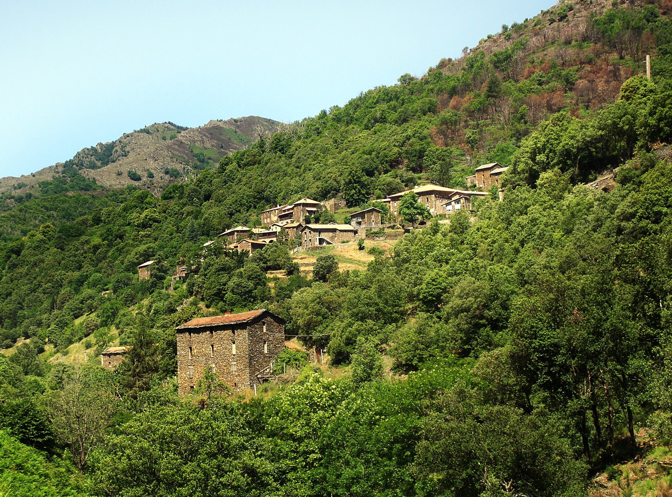 village on a forested hillside