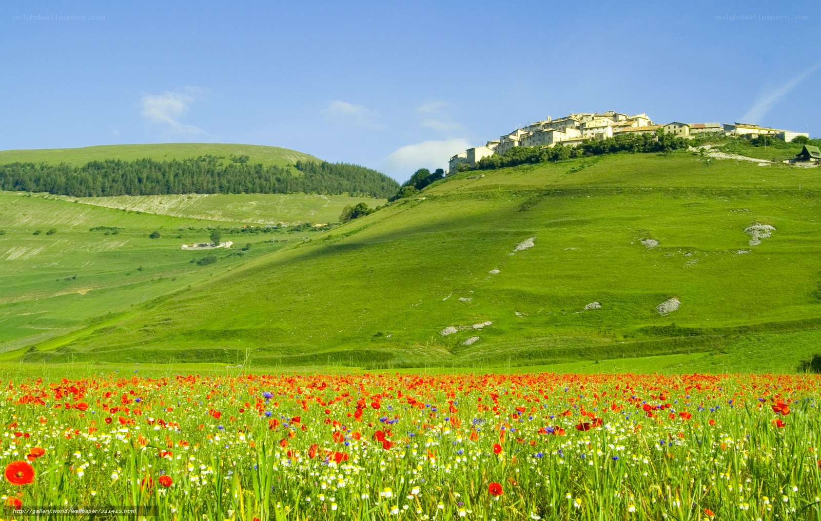 Village on a green hill