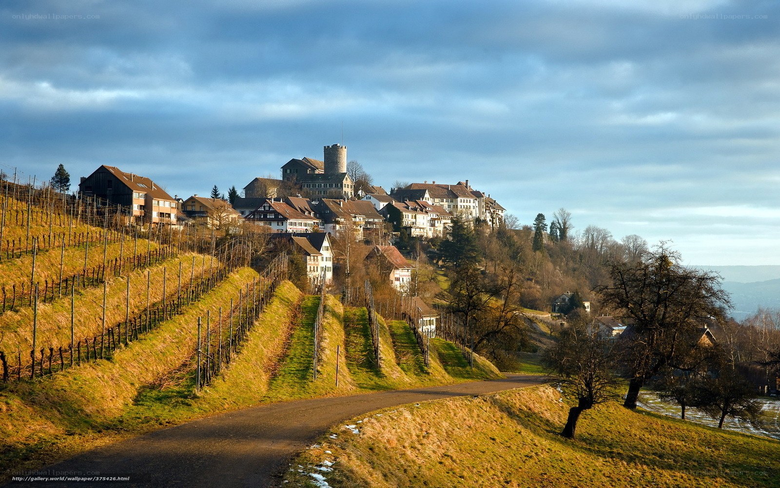 Village on a hill with castle
