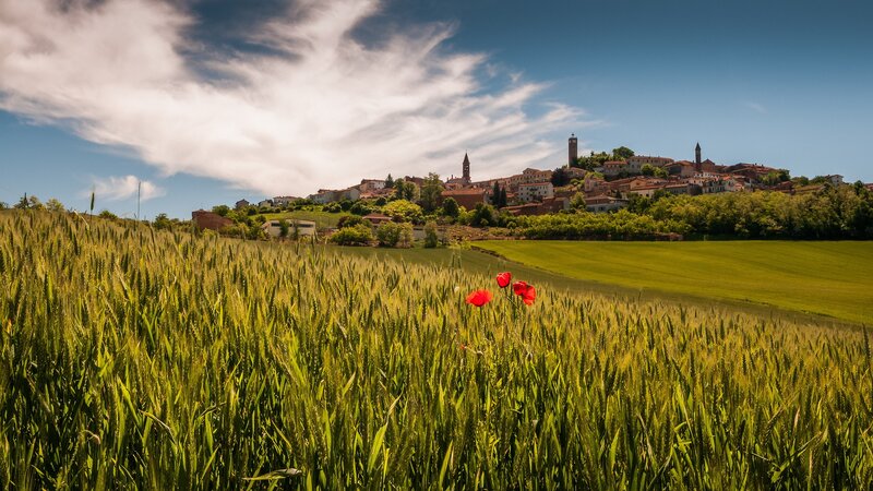Village on a hill with poppies