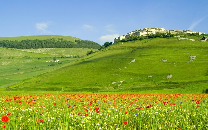 Village on a hill with poppy field