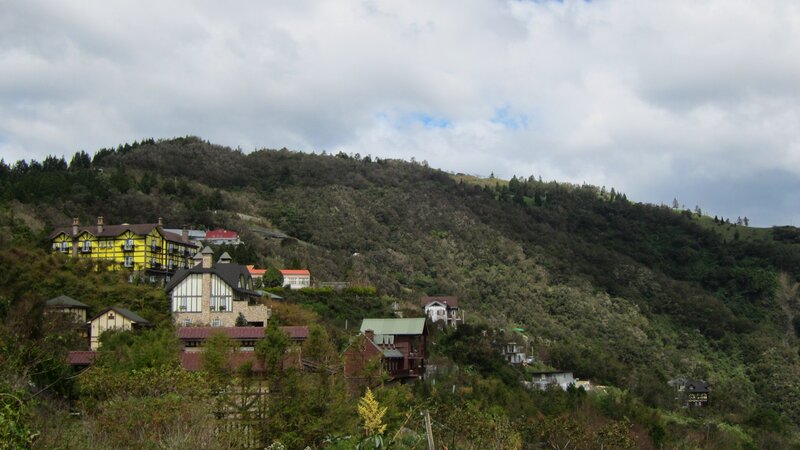 Village on a Hillside — Green, Overcast