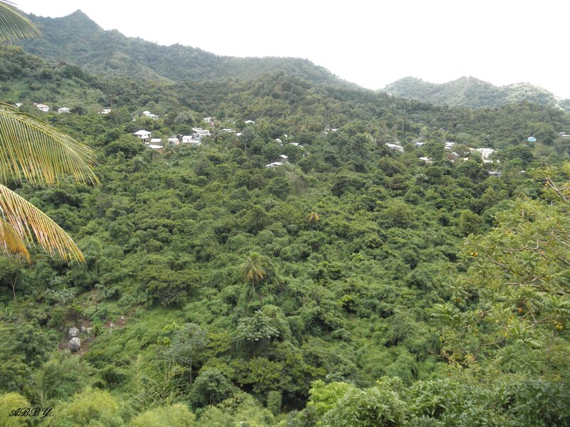 Village on a Hillside — Green, Serene, Afternoon, Photograph, Trees, Mountains