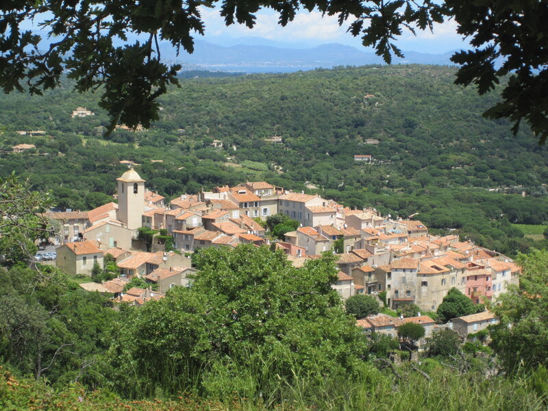 Village on a Hillside — Green, Serene, Afternoon, Photograph, Trees