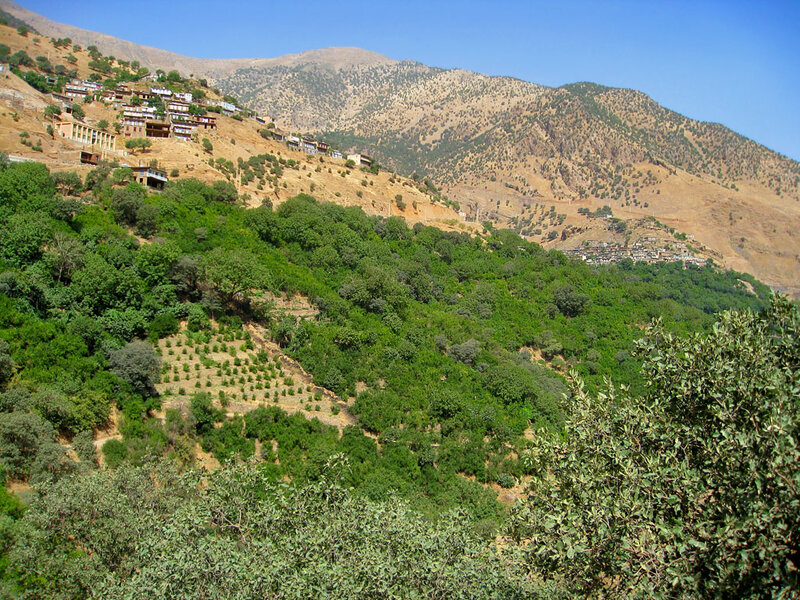 Village on a Hillside — Green, Serene, Afternoon