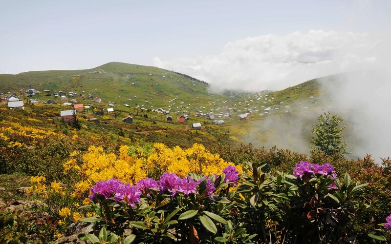 Village on a Hillside — Green, Serene, Spring