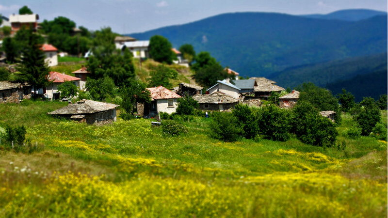 Village on a Hillside — Green, Serene, Summer