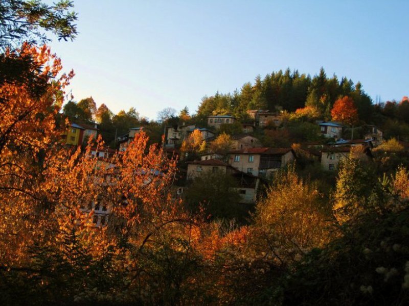 Village on a Hillside — Orange, Serene