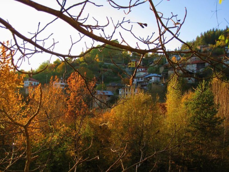 Village on a Hillside — Orange