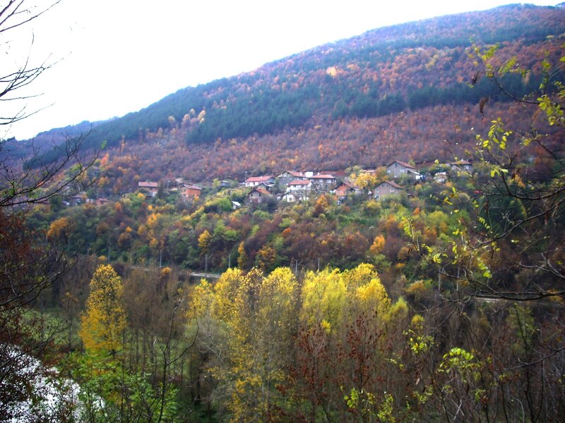 Village on a Hillside — Yellow
