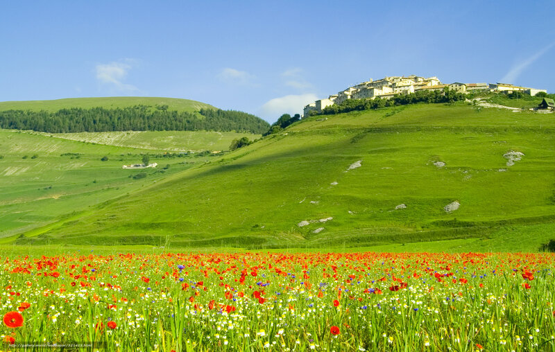 Village on Green Hill — Serene, Afternoon