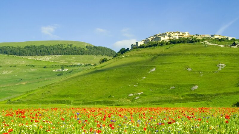 Village on Green Hill — Serene