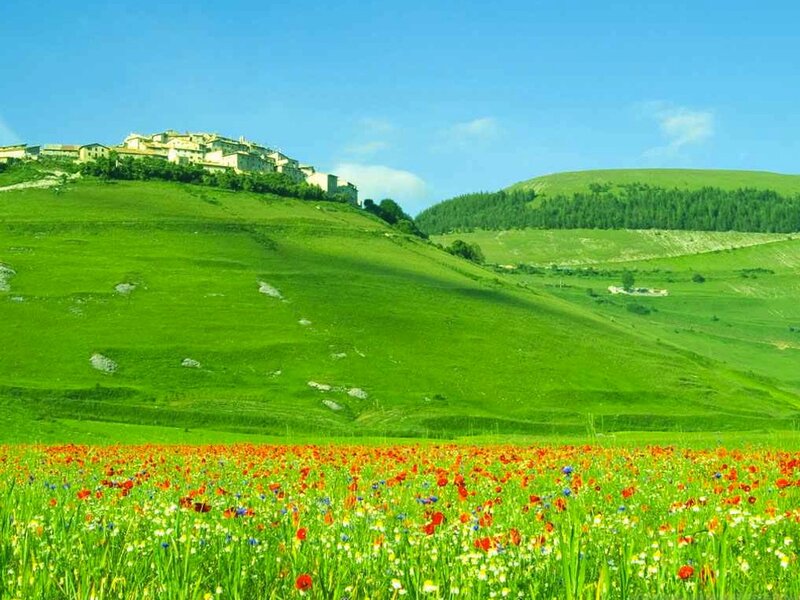 Village on Green Hill