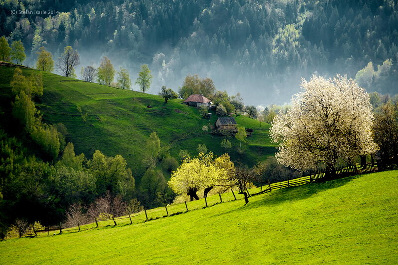 Village on Green Hills — Serene, Spring