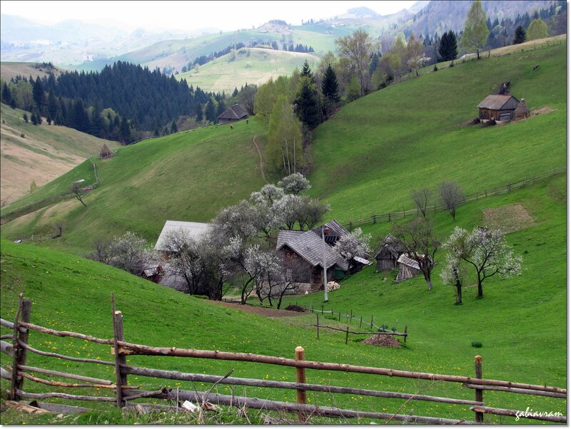 Village on Green Hills — Serene