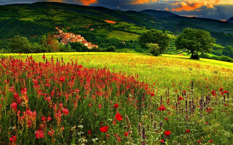 Village on Hillside — Green, Dramatic