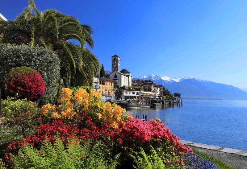 Village on Lake Shore — Blue, Serene, Afternoon, Photograph, Palm Tree