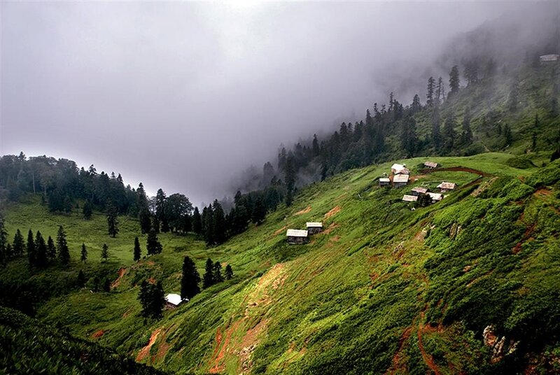 Village on Misty Hillside — Green
