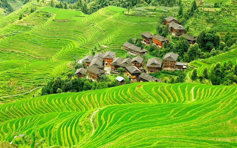 Village on Terraced Hills — Green, Serene, Afternoon