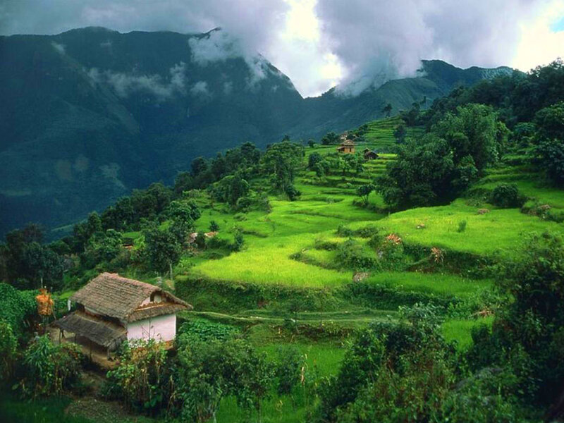Village on Terraced Hills — Green