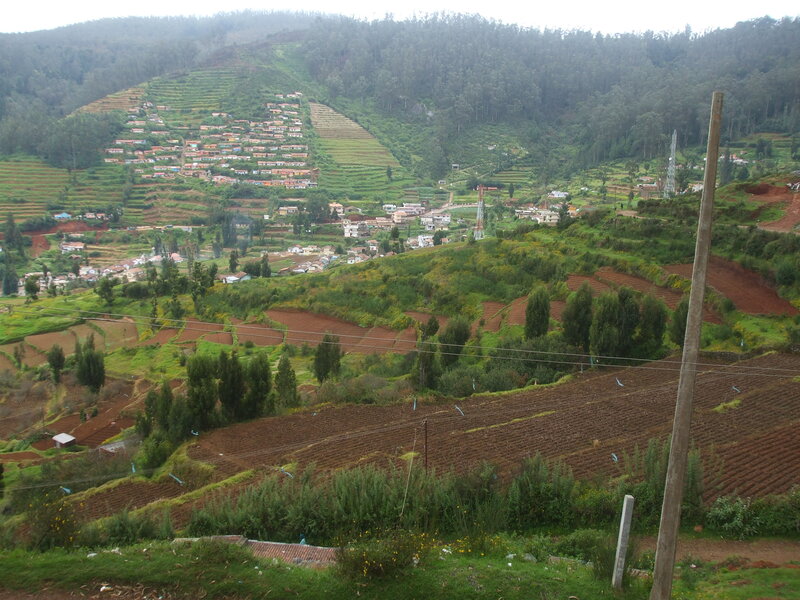 Village on Terraced Hills
