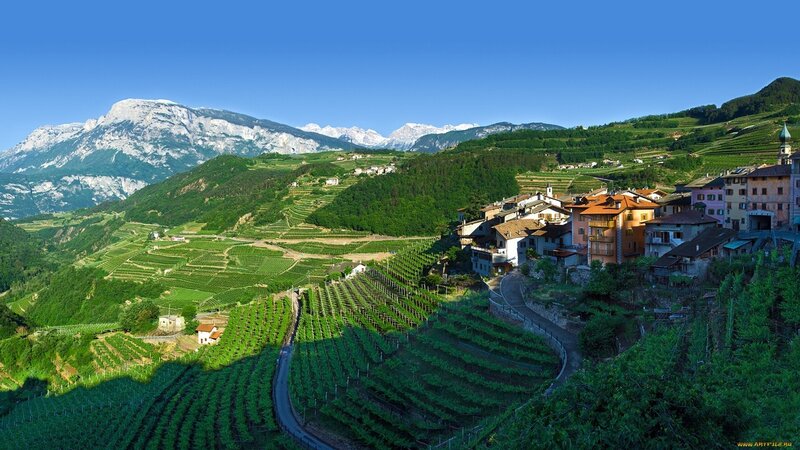 Village on Vine-covered Hills — Green
