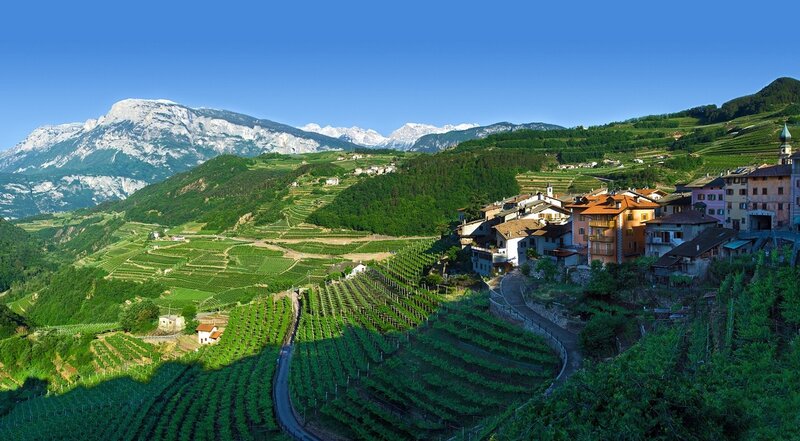 Village on Vine-covered Hills