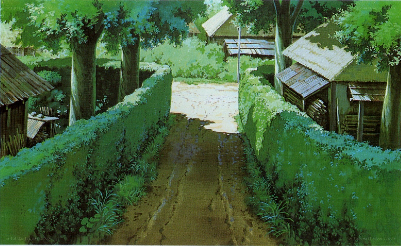 village path through green hedges