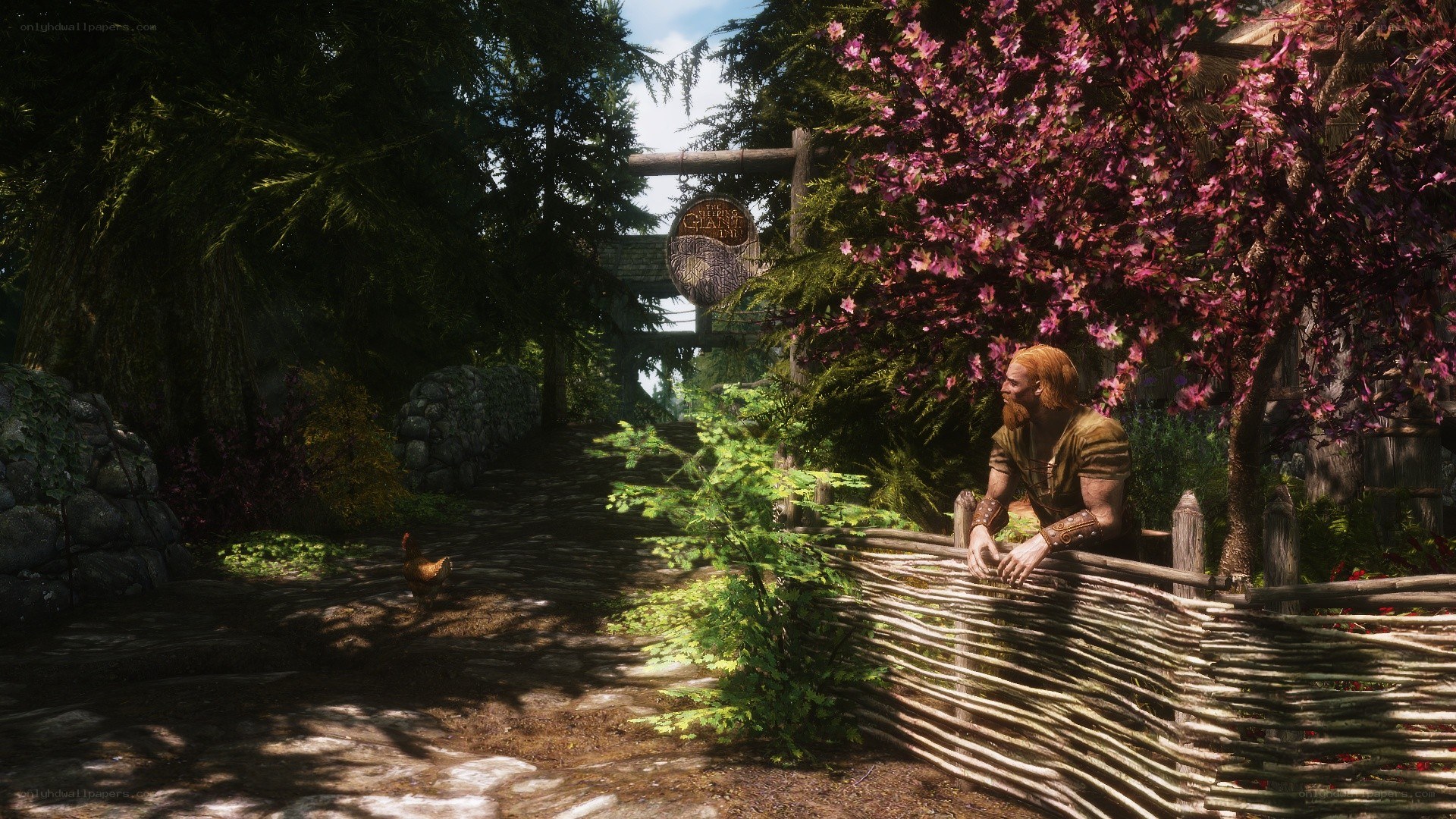 village path with chicken