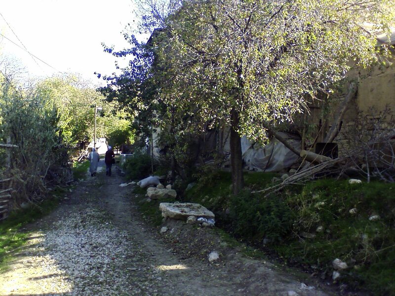 Village path with people walking