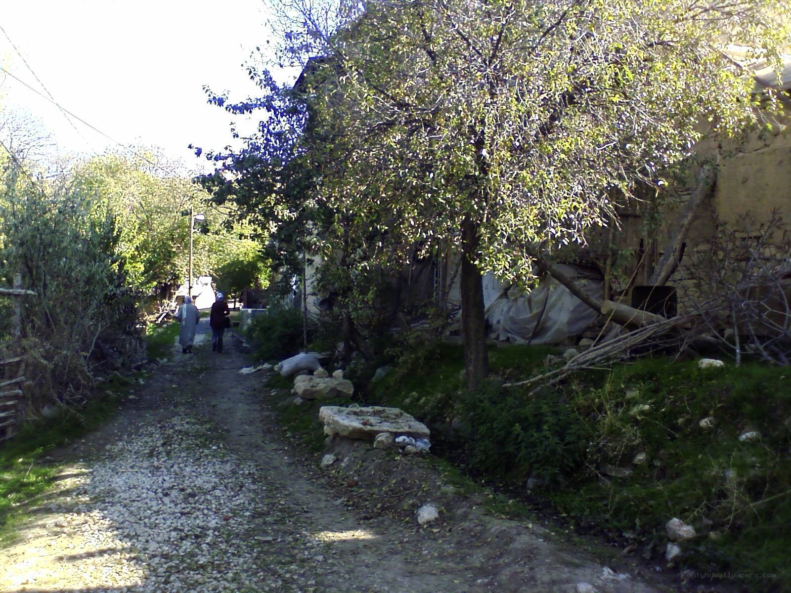 Village path with people walking