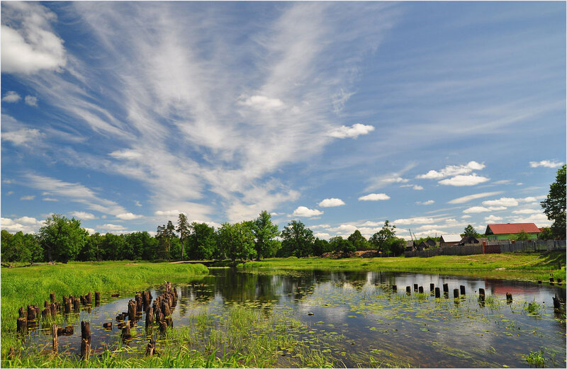Village Pond with Stumps