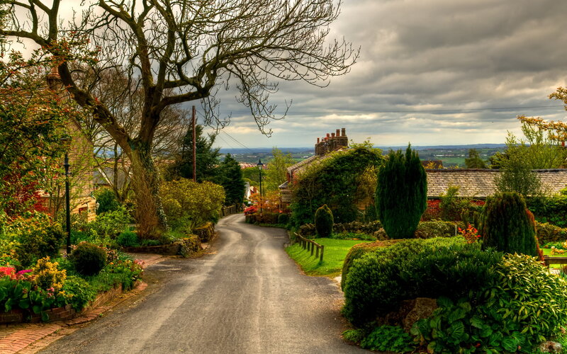Village Road with Houses — Green, Serene, Afternoon